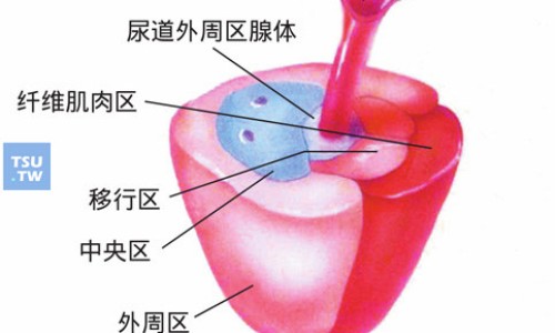 天狮甲壳质胶囊多少钱一瓶-【天狮甲壳质不能随便吃】天狮甲壳质排毒效果太强了 - 天狮甲壳质的吃法网