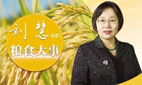 天狮甲壳质的正确吃法-【天狮甲壳质不能随便吃】天狮甲壳质排毒效果太强了 - 天狮甲壳质的吃法网